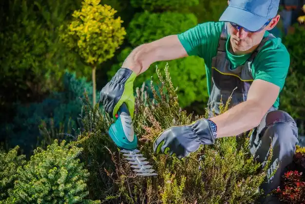 landscaping services Warson Woods